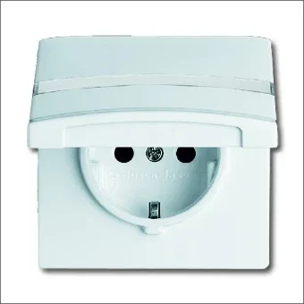 ABB BUSCH-JAEGER 2CKA002064A0301 Steckdose