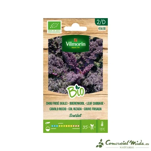 VILMORIN BIO Semillas Col Rizada Rojo