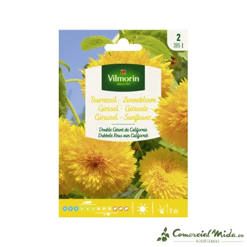 VILMORIN Semillas Girasol California