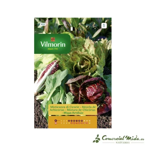 VILMORIN Semillas Mezcla de Achicorias