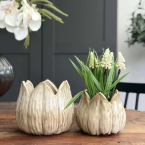 Pflanzentöpfe TULIP beige - mehrere Größen
