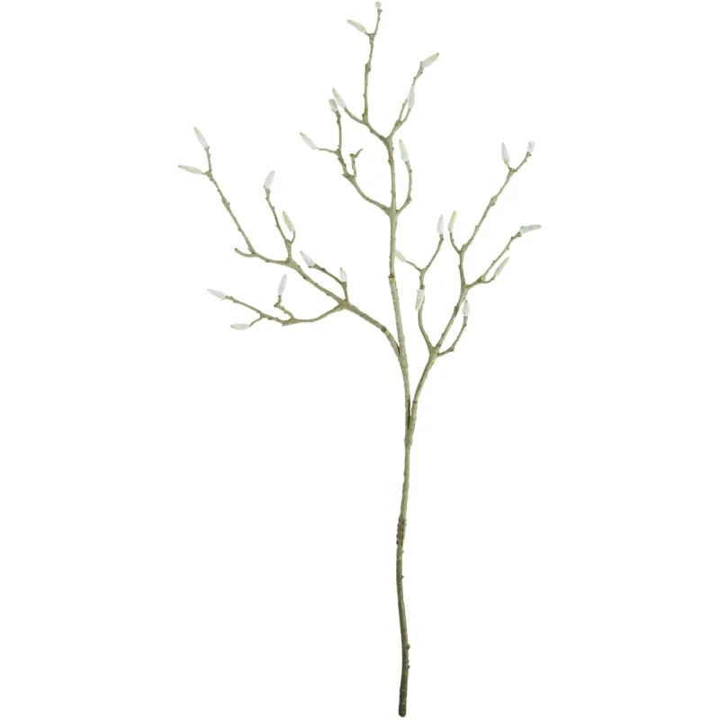 537886