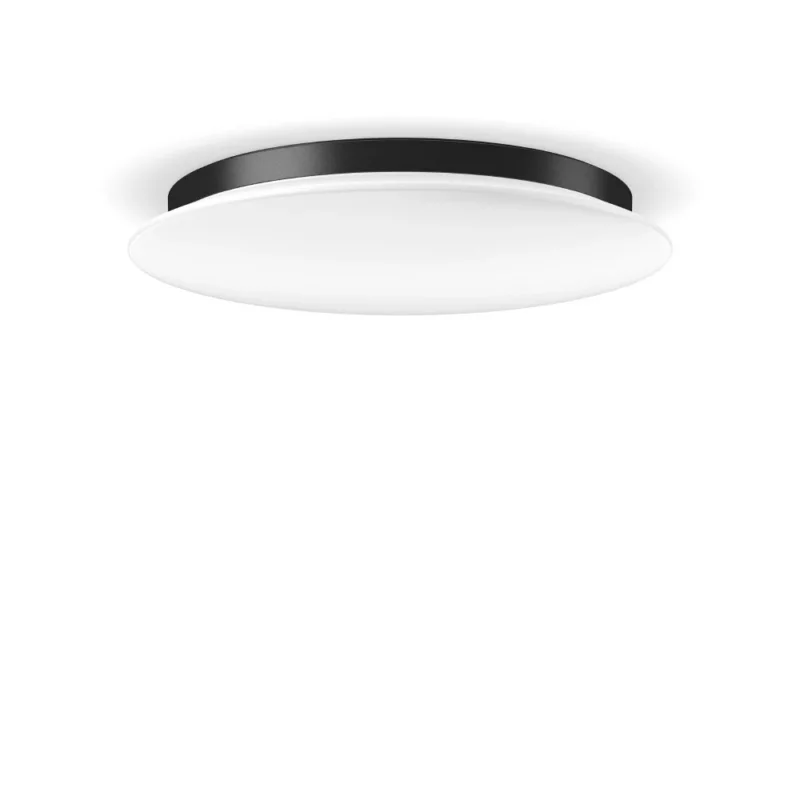 RZB - Decken-/Wandleuchte LED-Wand u.Deckenleuchte 312640.0031.730 830/840 ML s+f anthr