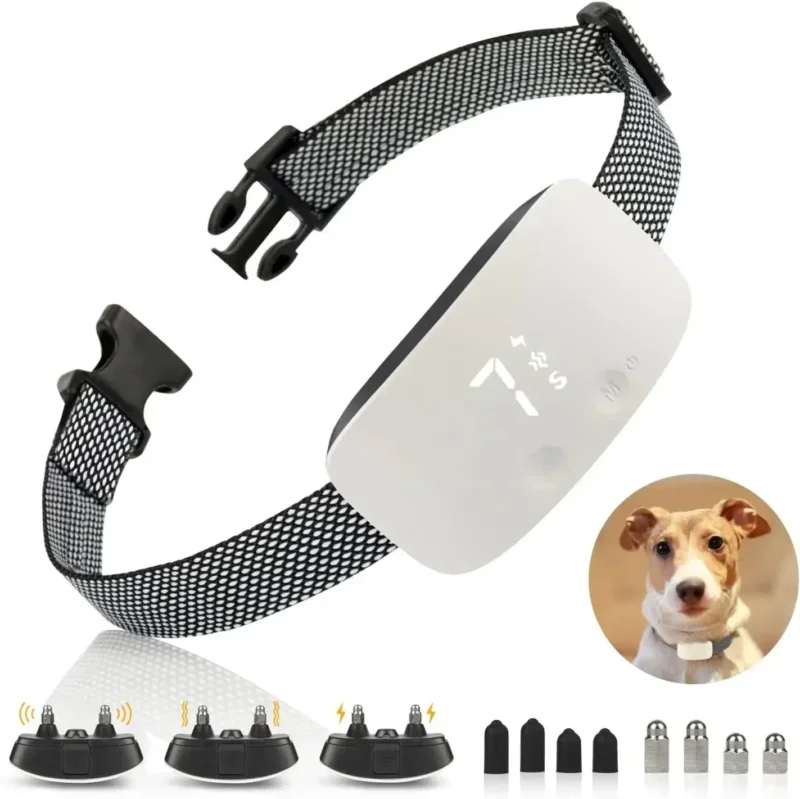 StilPoot Hundetrainingshalsband Wiederaufladbar und Wasserdicht | Karnz