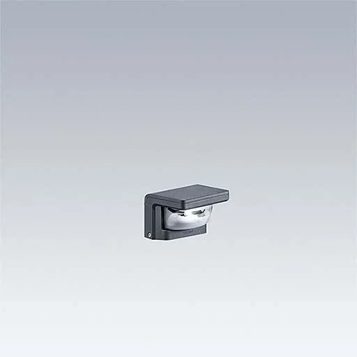 Thorn - Decken - /Wandleuchte LED - Pollerkopf RAW 1L35 - #96631725 3000K