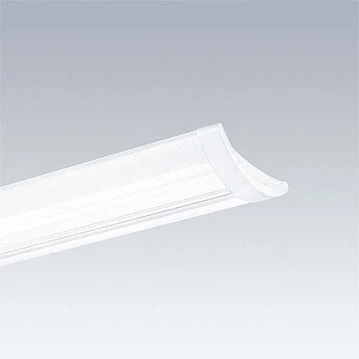 Thorn - Decken - /Wandleuchte LED - Anbauleuchte IQ SURF L #96628947 4000K