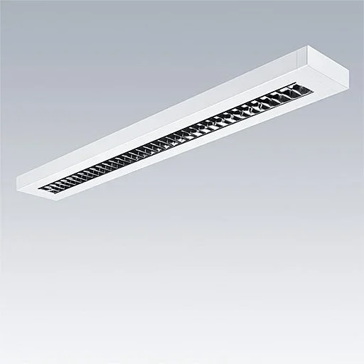 Thorn - Decken - /Wandleuchte LED - Aufputzleuchte PUNCH 3 LV #96636029 930