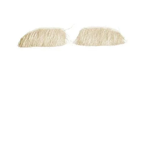 Wenkbrauwen Sint deluxe Yak van Haza Witbaard koop je bij Partywinkel
